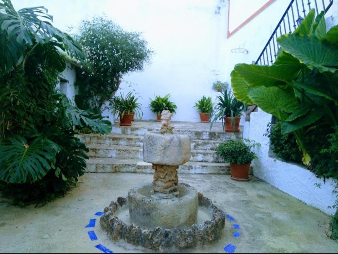 Casa Rural Del Rio Alozaina Exterior photo